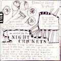 night crickets