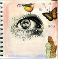 eye