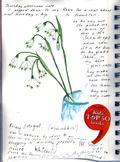 snowdrops